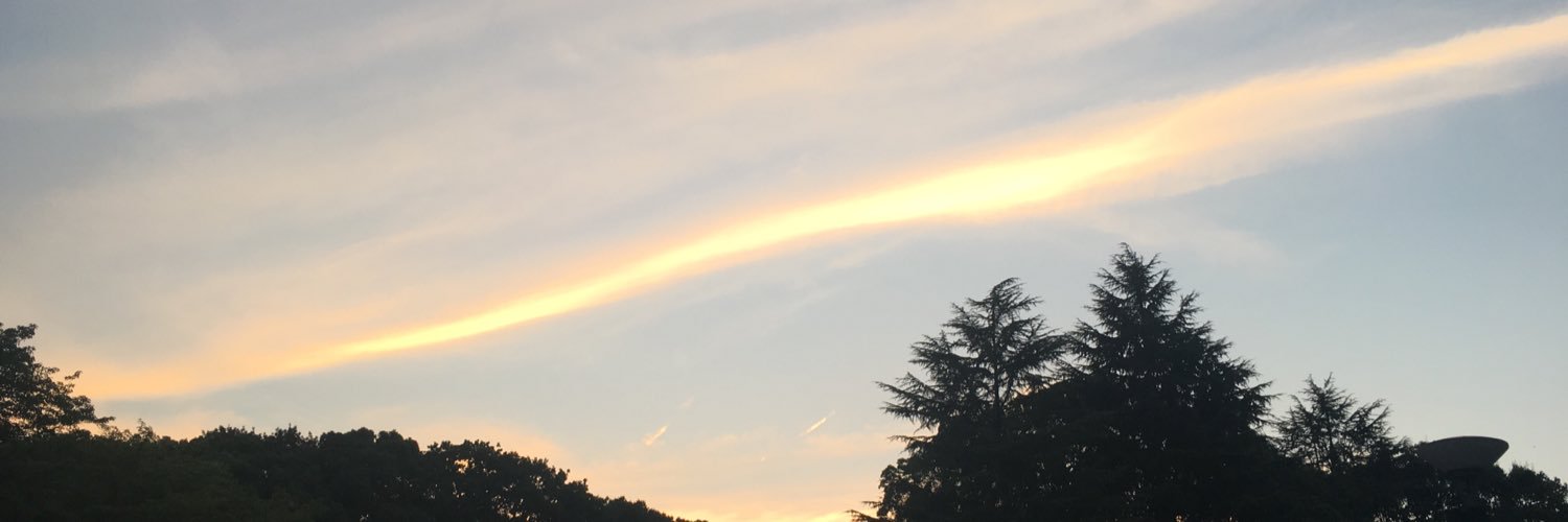 goonies375's profile banner image