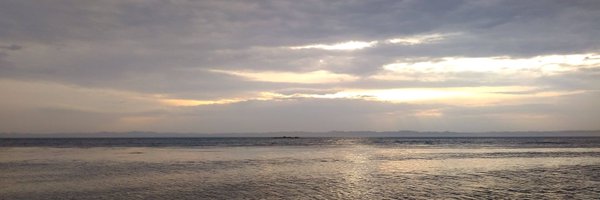 thoughtspile Profile Banner