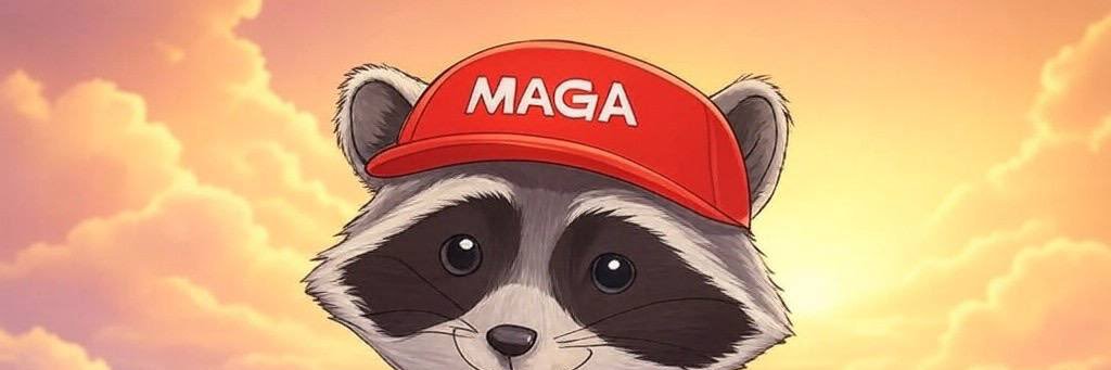 Steve banner