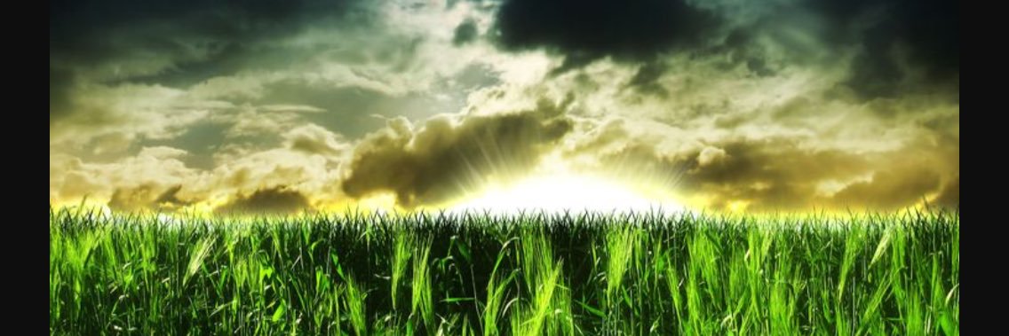 CrowEduars's profile banner image