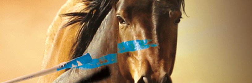 Blaise Bersinger banner