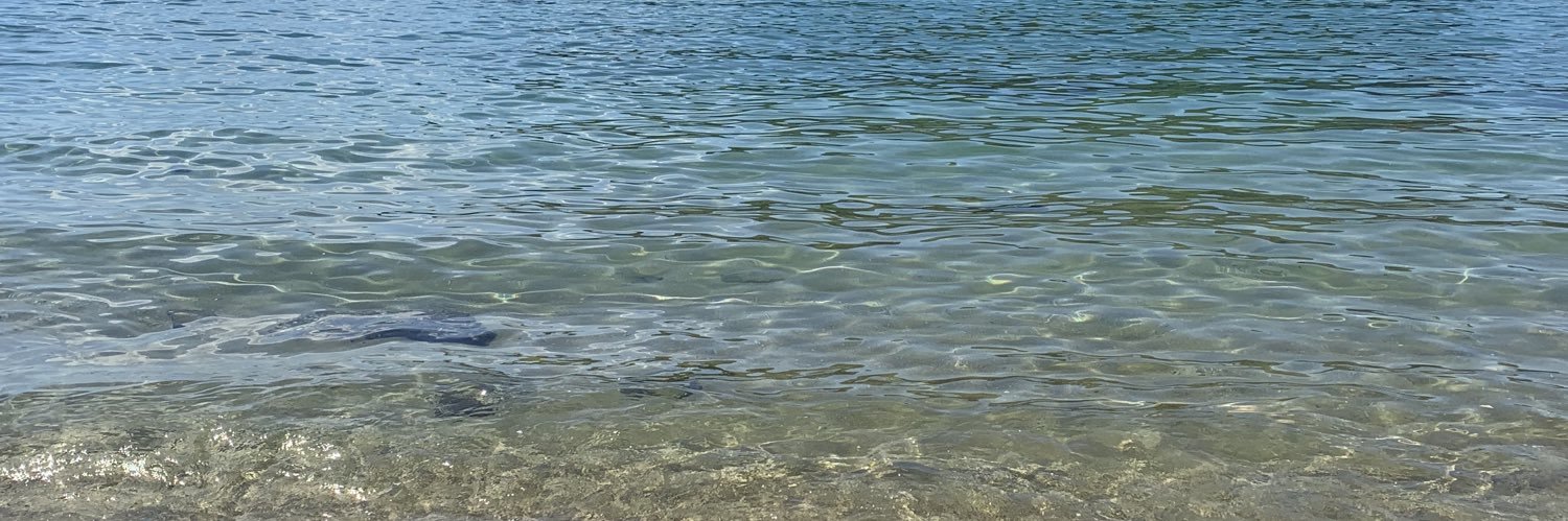 camilalrt's profile banner image