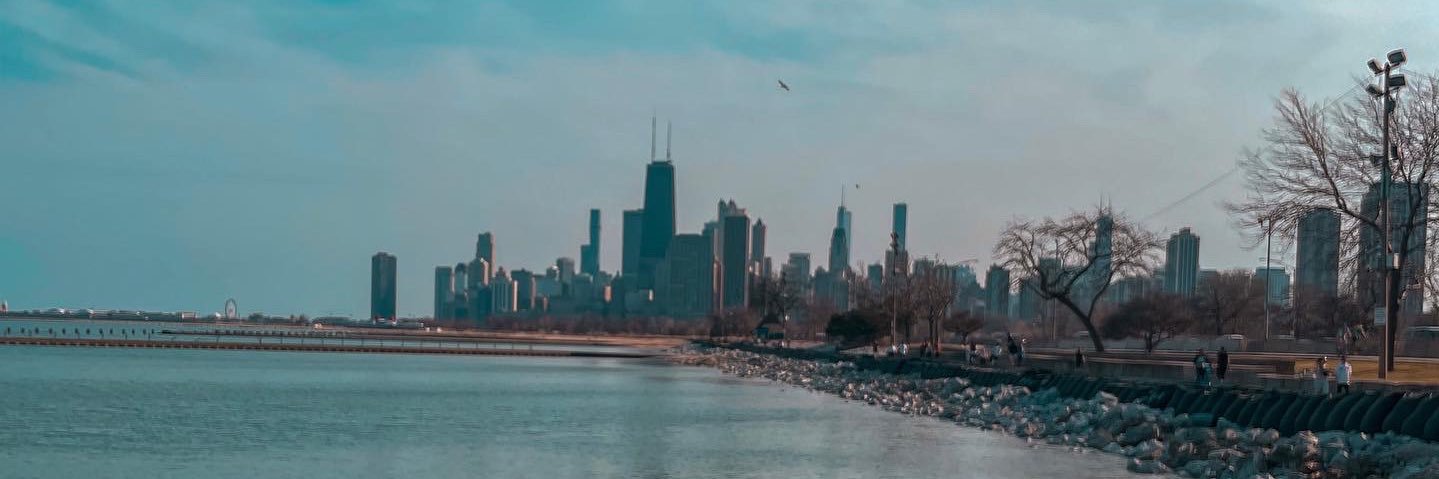 Ariisel_'s profile banner image