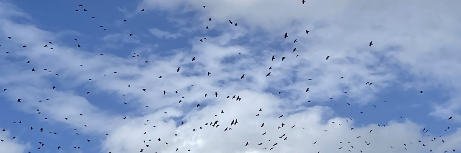Jhonatan809's profile banner image