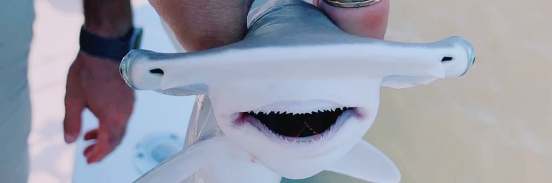 Elledahlgren's profile banner image
