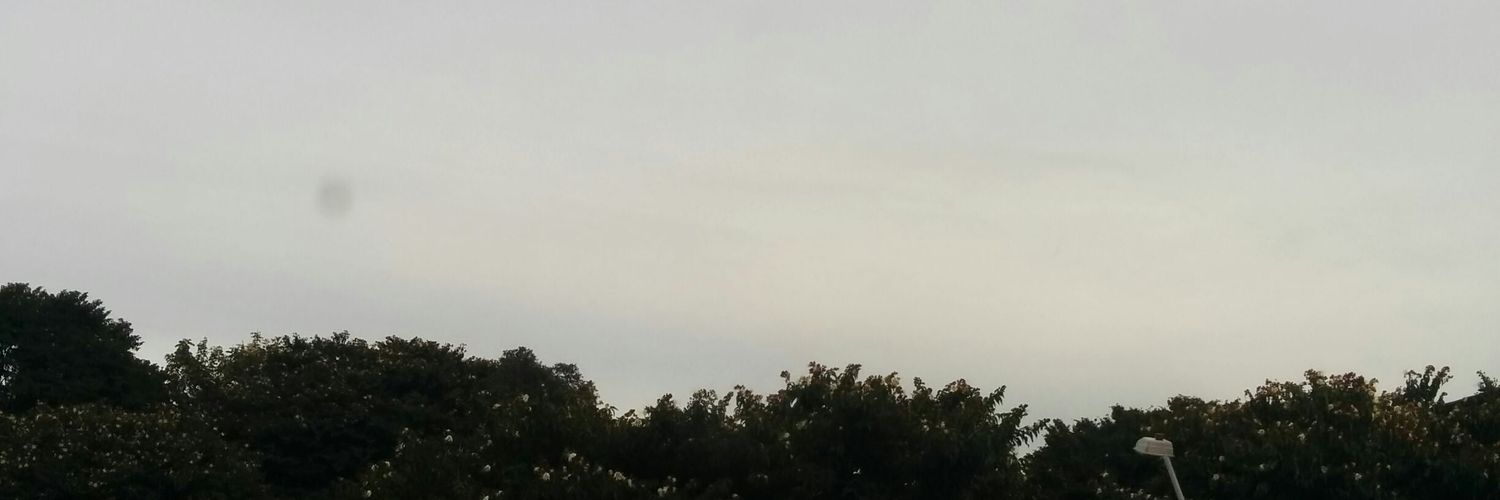 juliangborda's profile banner image