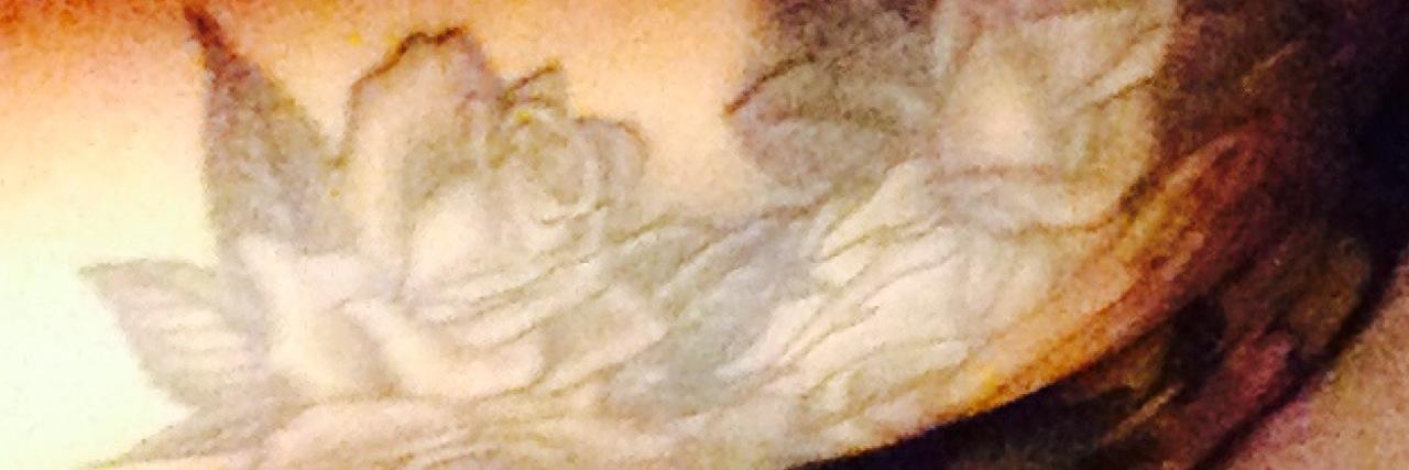 msluckycat's profile banner image