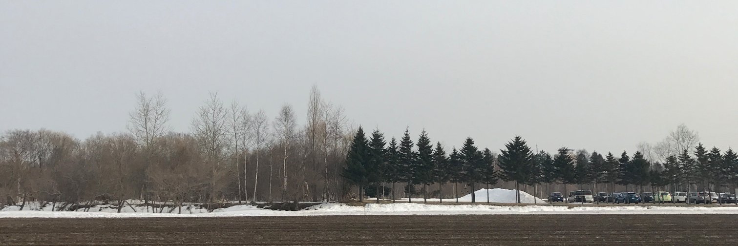 MedelinOslo's profile banner image