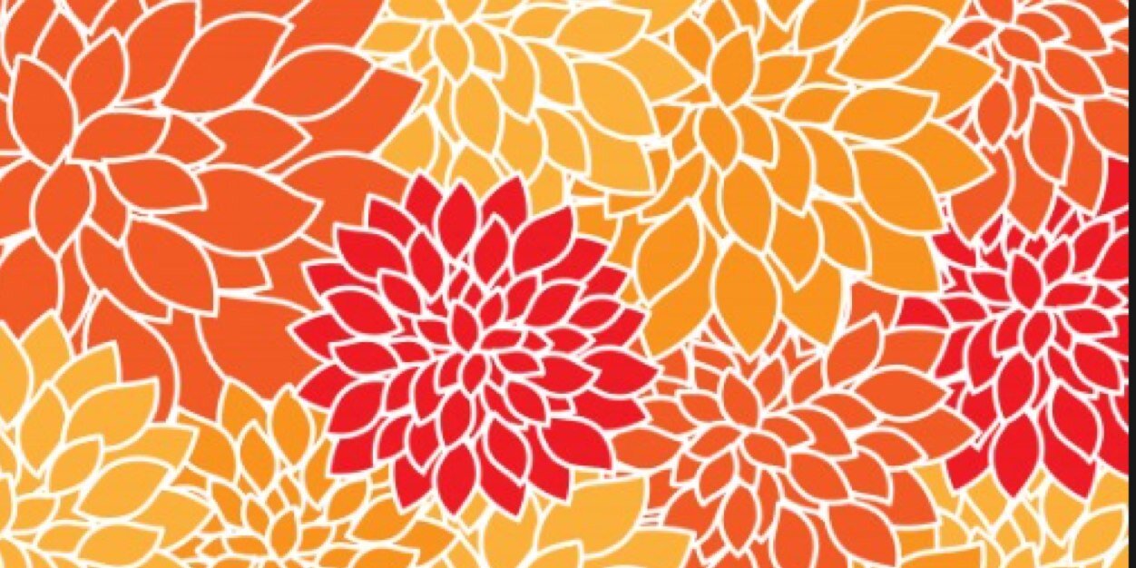 ChloeP45's profile banner image