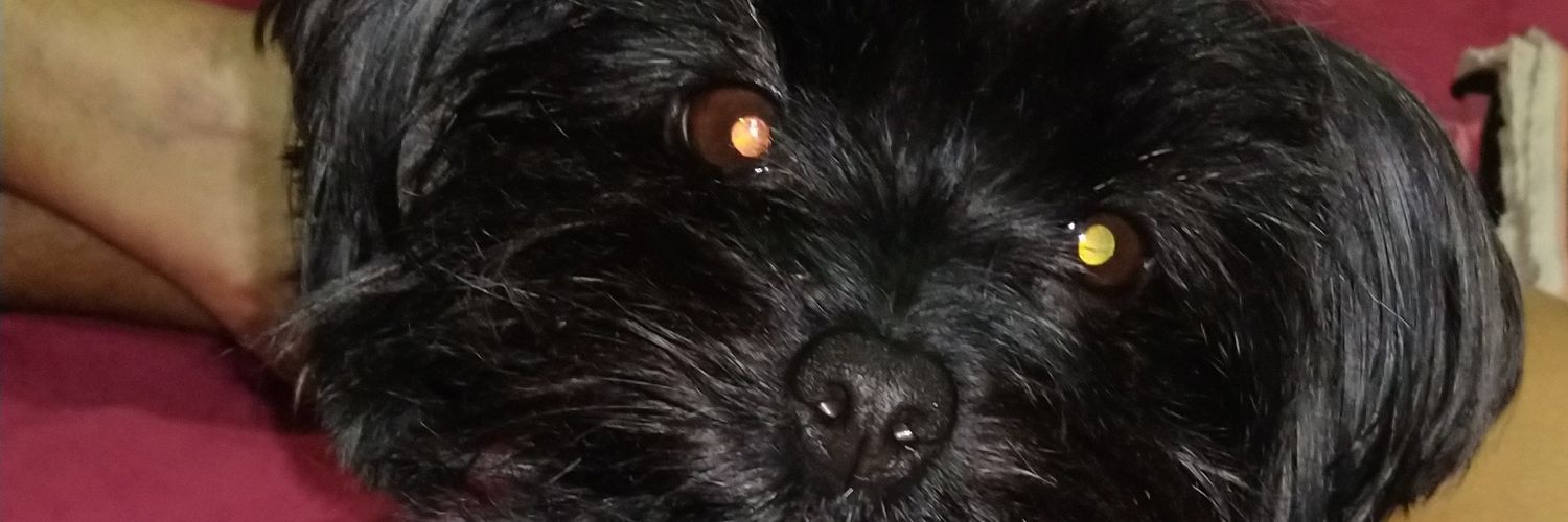 vikkasouza's profile banner image