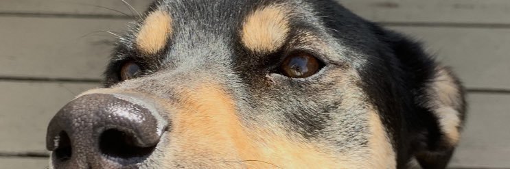 katieegreg's profile banner image