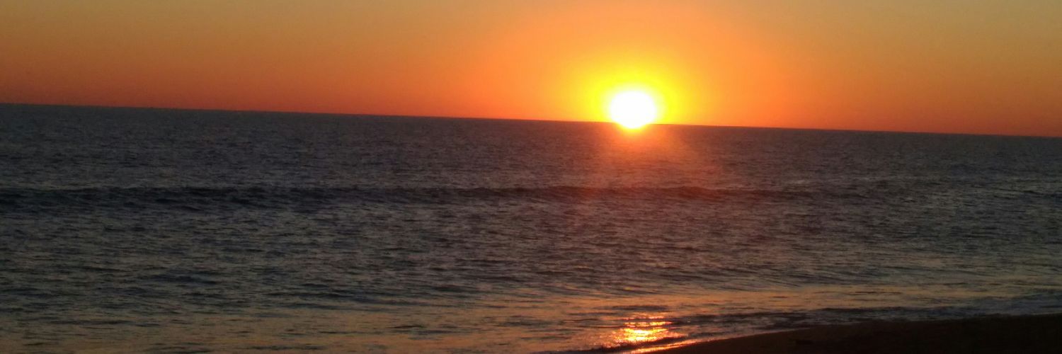 VaneFifi's profile banner image