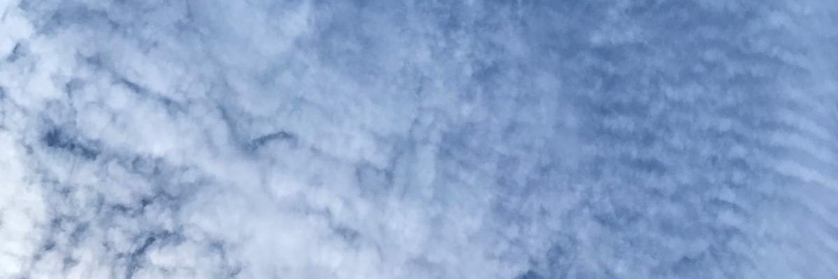 evenables1006's profile banner image