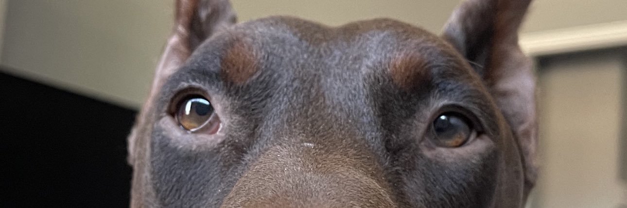 whereisbryant's profile banner image