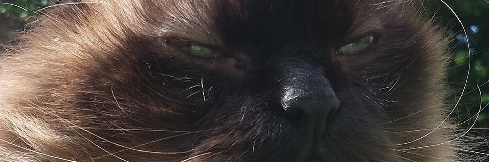 badders1977's profile banner image