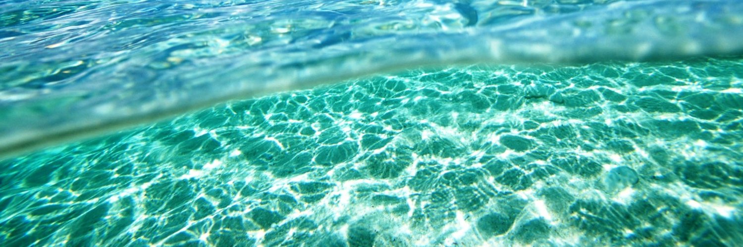 Julia La Nova banner