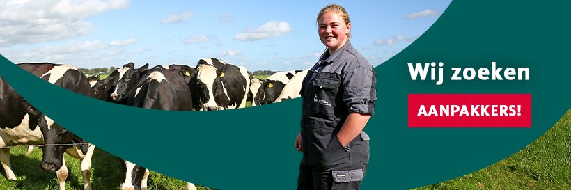 AB Midden Nederland banner