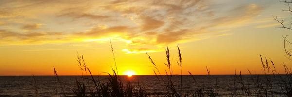 msrey70 Profile Banner