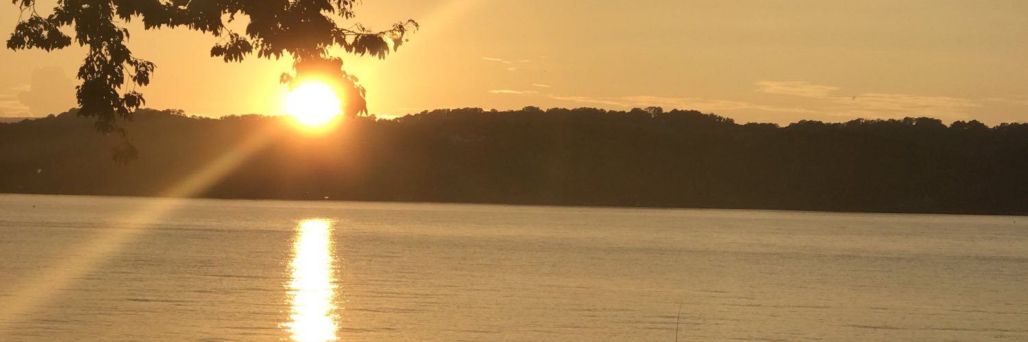 pletbetter's profile banner image