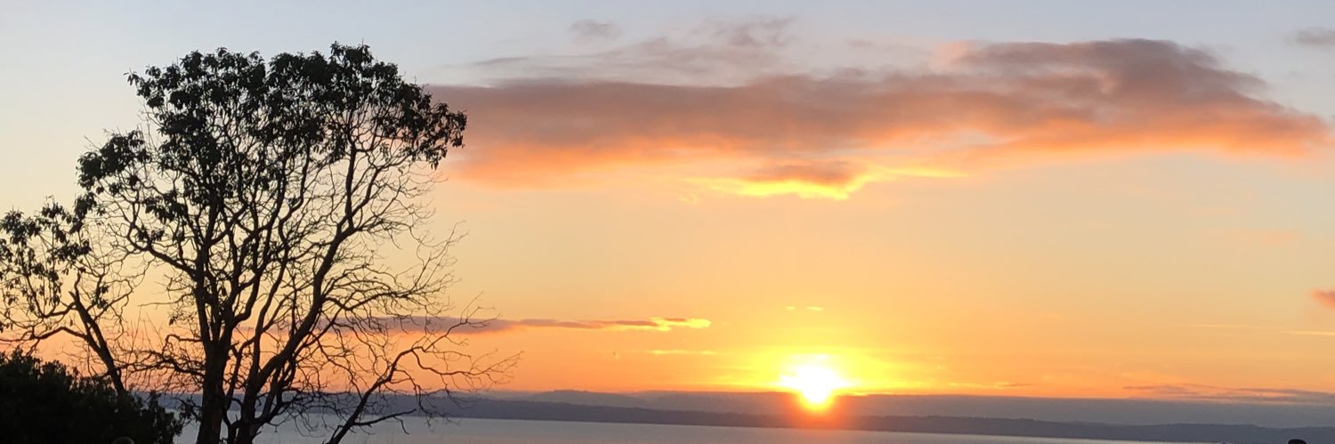 6Day9ton6's profile banner image