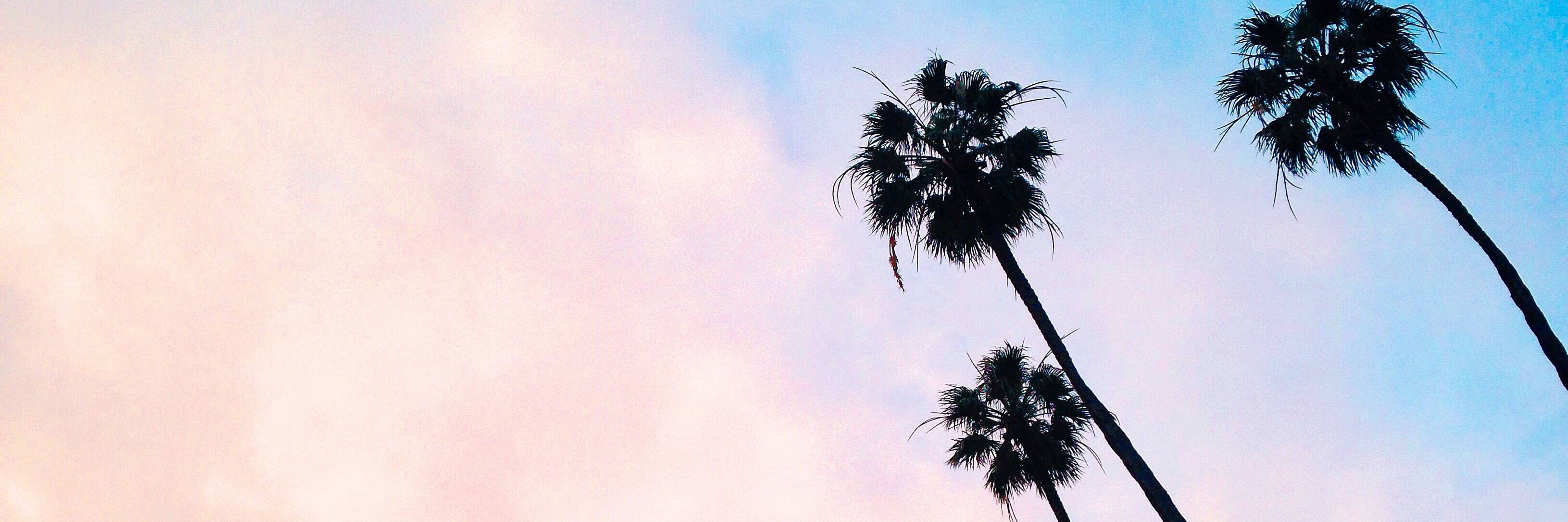 ShopPlaylist's profile banner image