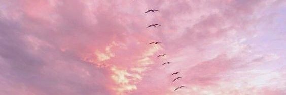 Majocrsnch's profile banner image