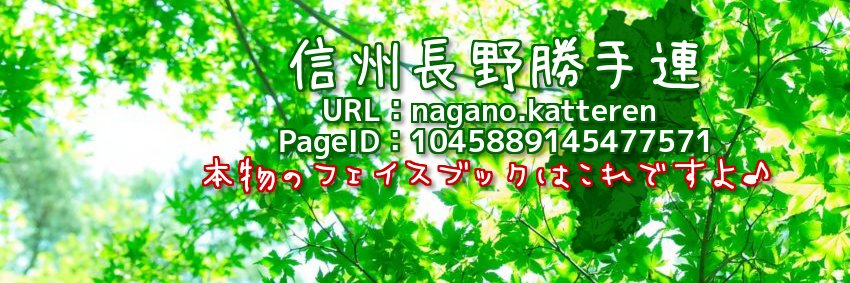 NaganoGX's profile banner image