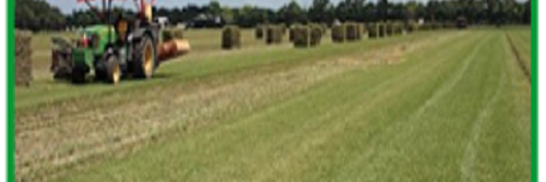 TaterFarmsLLC's profile banner image