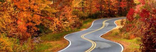 Shawna Atwell banner