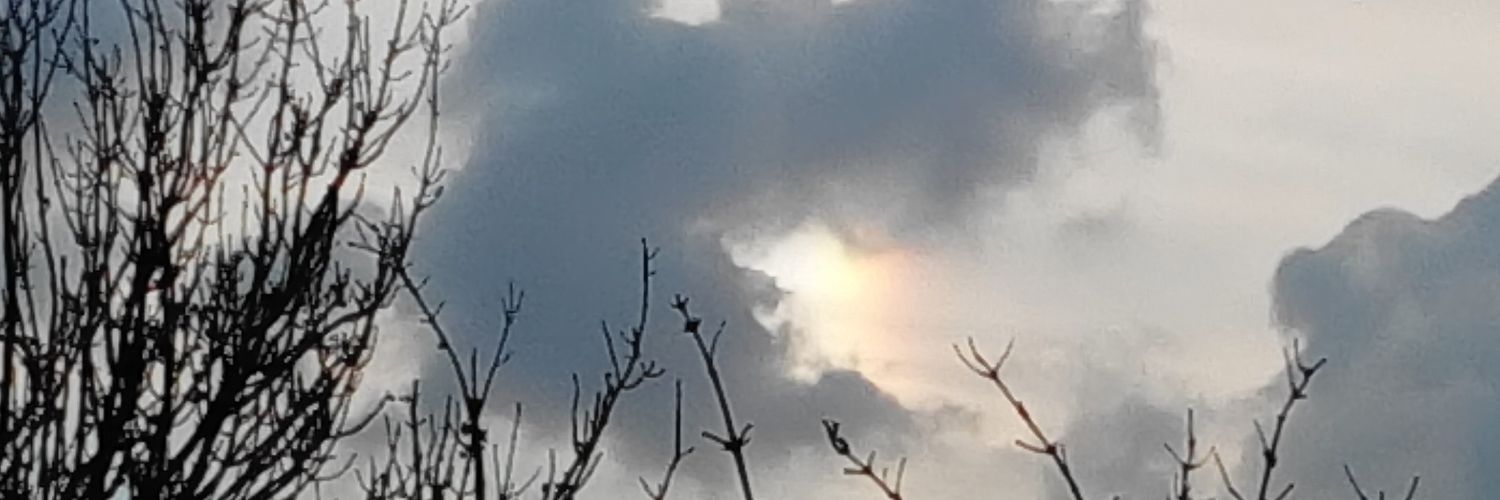 angelakoolmees's profile banner image