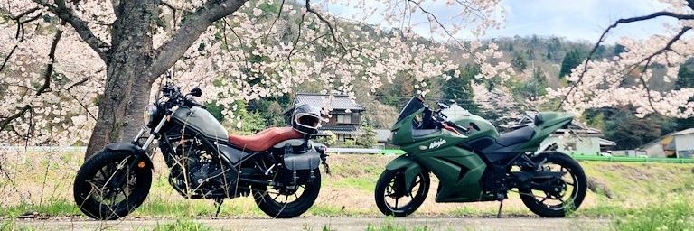なぉ banner