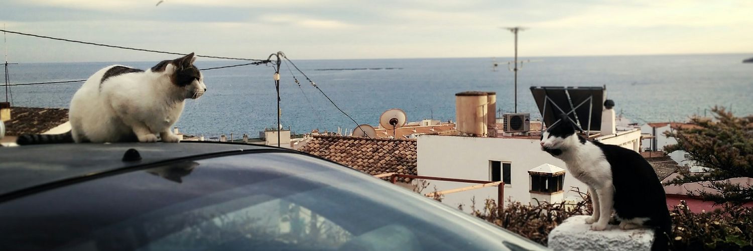 Paattitos's profile banner image