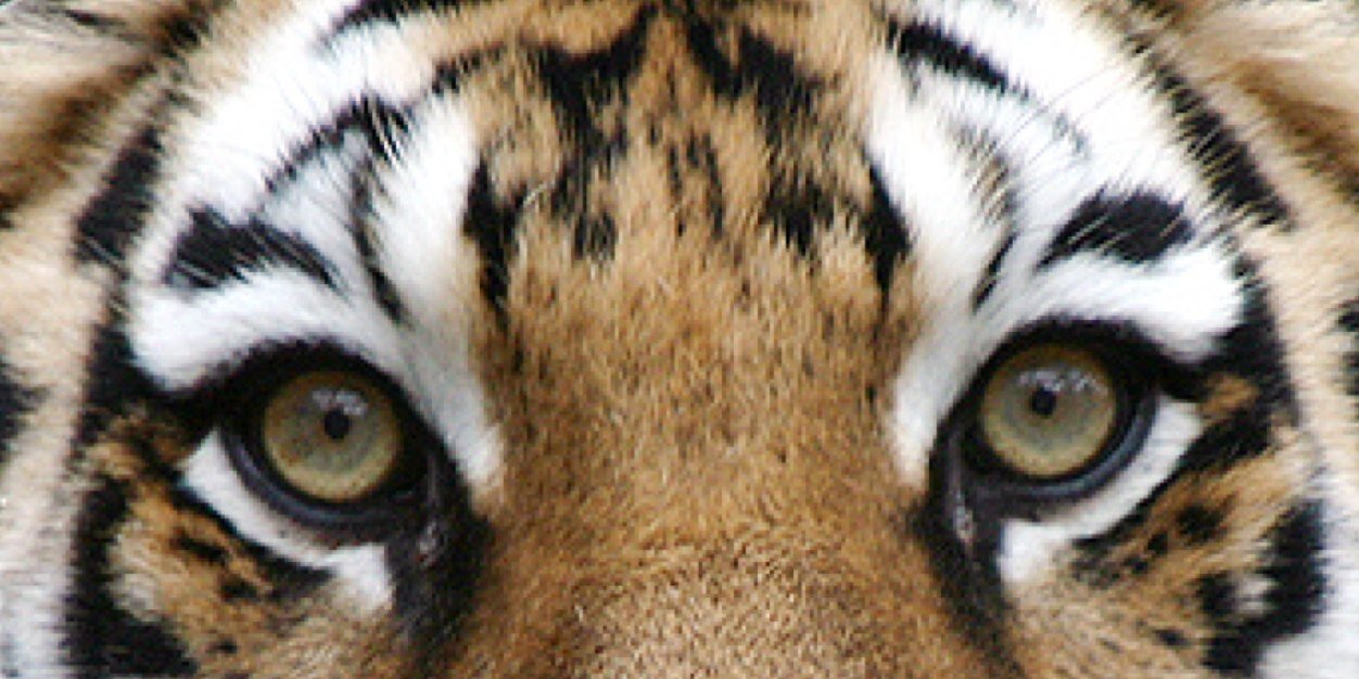 t.AIR.a banner