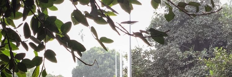 Swem2Swem's profile banner image