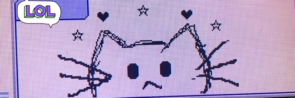 Lari⋆♱.⋆ banner