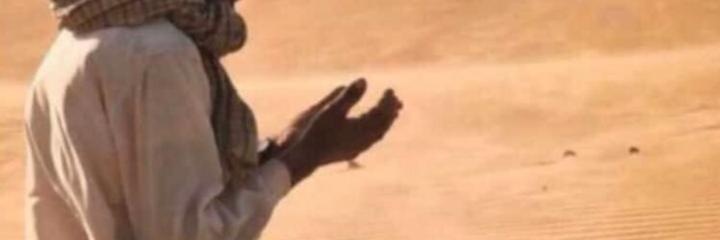.... banner