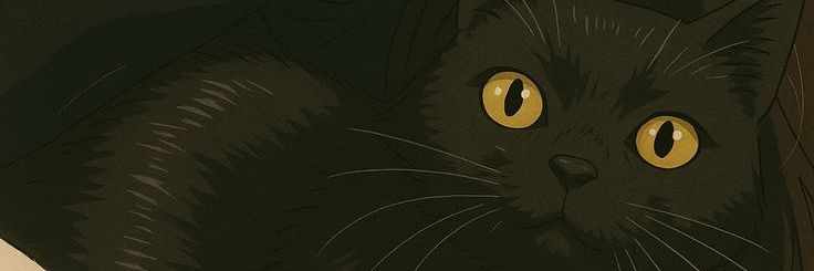 jvnsse's profile banner image