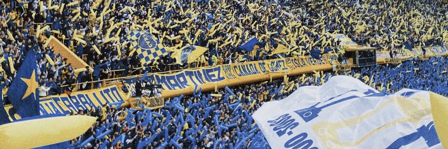 malecoloschi's profile banner image