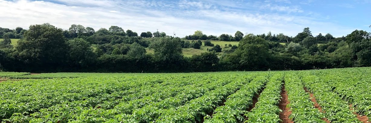 FarringtonsFarm's profile banner image