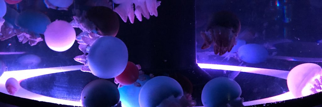akio3das's profile banner image