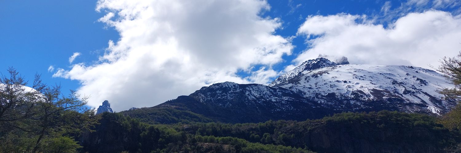 _paz_ banner