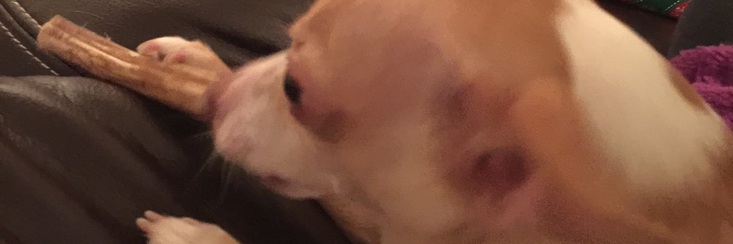 mellissaeaster's profile banner image