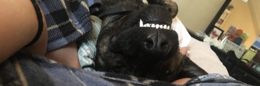 samgrahamm__'s profile banner image
