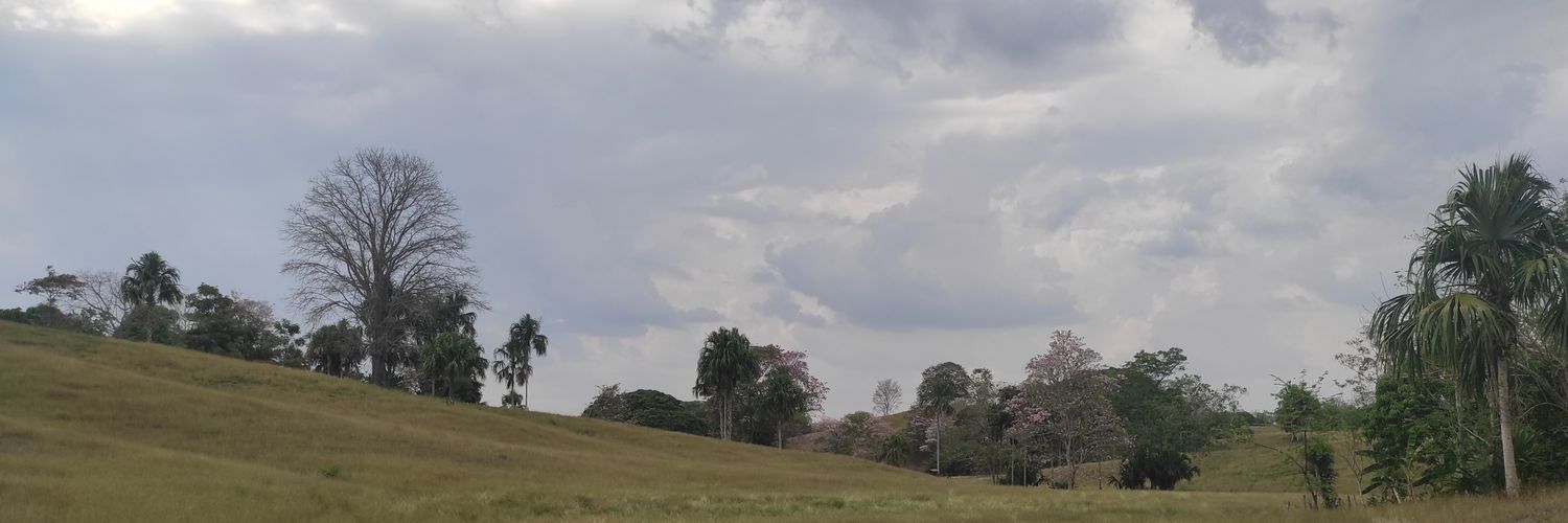 Marylo92's profile banner image