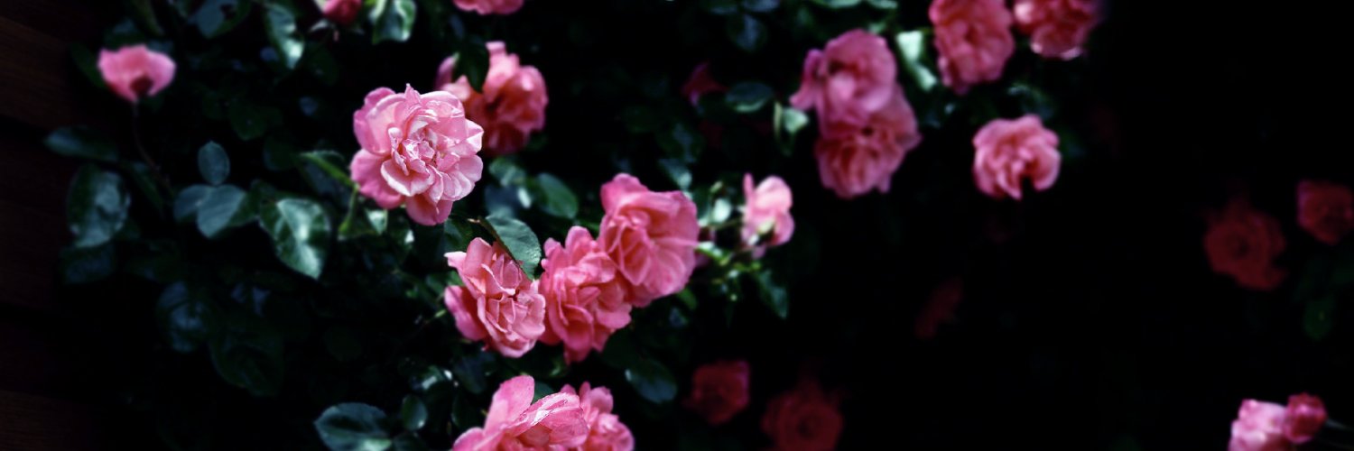 James W| ETHGas ⛽ banner