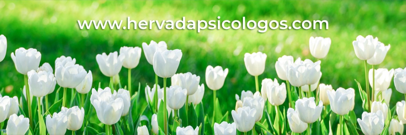 AnaHervada's profile banner image