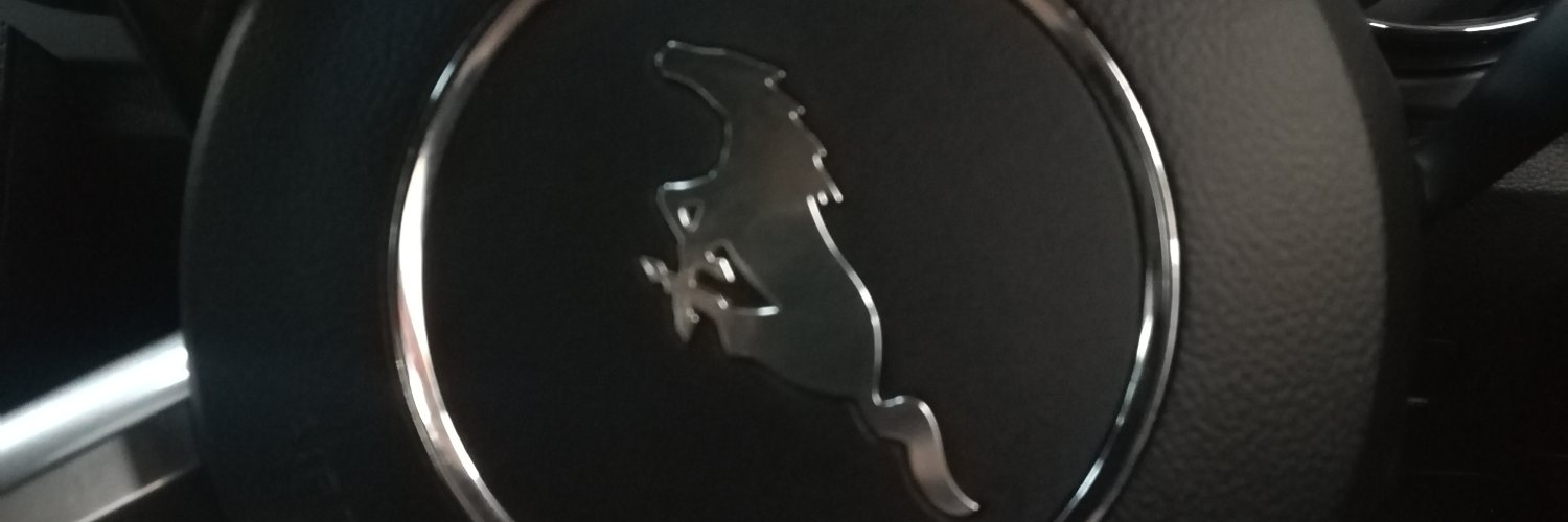 mncejoe's profile banner image