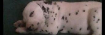 Milikovach1's profile banner image