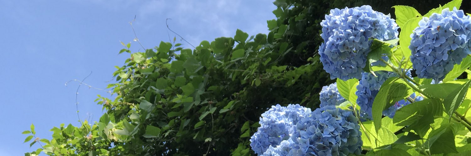 dxunts's profile banner image