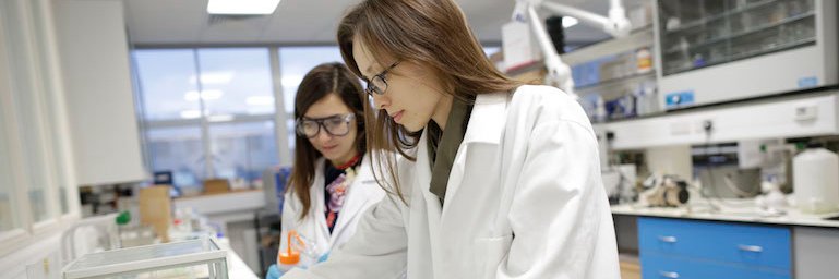 QMUL School of Physical and Chemical Sciences's banner